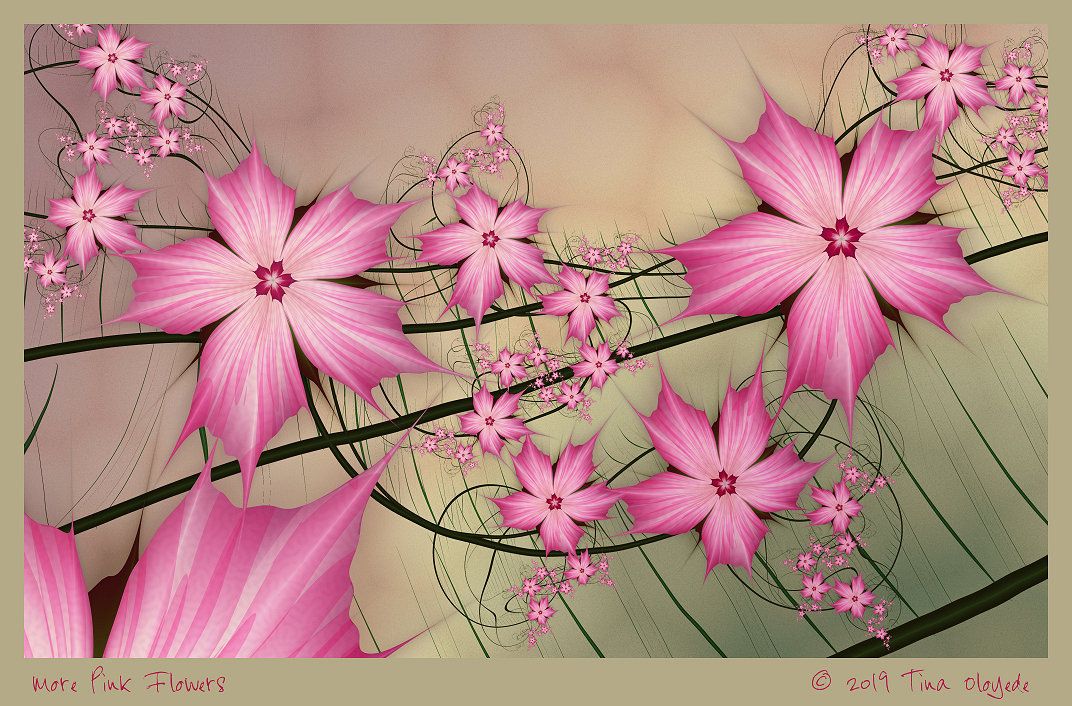 More Pink Flowers by Tina Oloyede